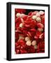 Leukaemia Blood Cells, SEM-Steve Gschmeissner-Framed Photographic Print