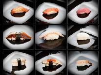 Set Of 9 Different Nigirizushi (Sushi)-Lev4-Mounted Art Print