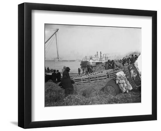 Premium Photographic Print, , large