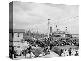 Levee, Foot of Canal St., New Orleans-null-Stretched Canvas