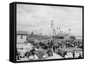 Levee, Foot of Canal St., New Orleans-null-Framed Stretched Canvas