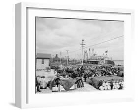 Levee, Foot of Canal St., New Orleans-null-Framed Photo