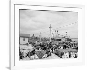 Levee, Foot of Canal St., New Orleans-null-Framed Photo