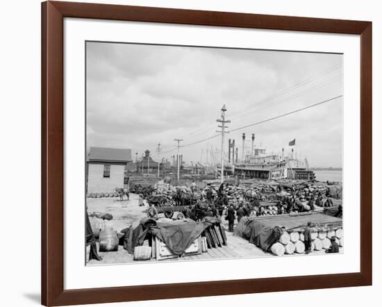 Levee, Foot of Canal St., New Orleans-null-Framed Photo