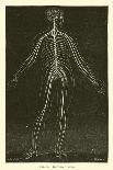Skeleton-Leveille-Giclee Print