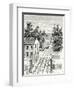 Level Crossing and Barrier-null-Framed Giclee Print