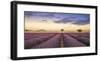 Levendar-Jim Nilsen-Framed Giclee Print