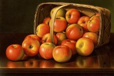 Tabletop Still Life with Fruit-Levi Wells Prentice-Stretched Canvas