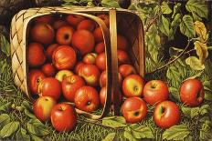Basket of Apples-Levi Wells Prentice-Giclee Print