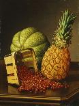 Tabletop Still Life with Fruit-Levi Wells Prentice-Giclee Print