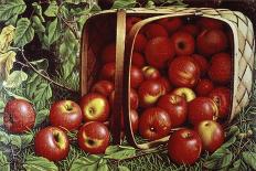 Still Life with Apples by a Tree-Levi Wells Prentice-Giclee Print