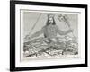 Leviathan-Abraham Bosse-Framed Art Print