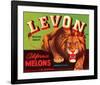 Levon Brand California Melons-null-Framed Art Print