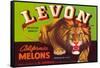 Levon Melons Label-null-Framed Stretched Canvas