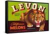 Levon Melons Label-null-Framed Stretched Canvas