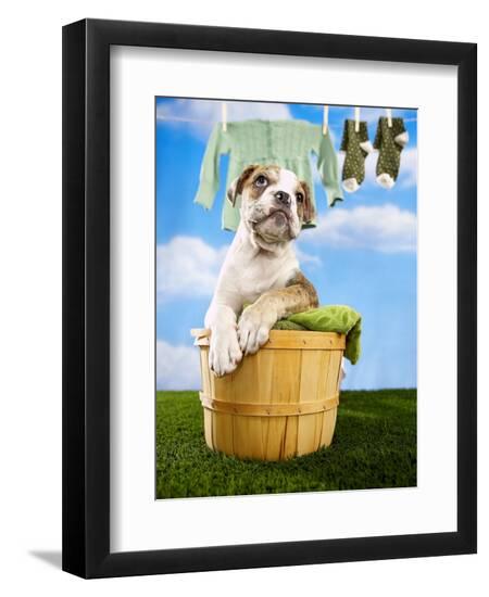 Photographic Print, , large
