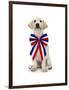 Gramercy Espresso