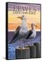 Lewes, Delaware - Seagulls-Lantern Press-Framed Stretched Canvas