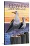 Lewes, Delaware - Seagulls-Lantern Press-Stretched Canvas