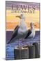 Lewes, Delaware - Seagulls-Lantern Press-Mounted Art Print