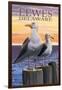 Lewes, Delaware - Seagulls-Lantern Press-Framed Art Print