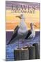 Lewes, Delaware - Seagulls-Lantern Press-Mounted Art Print