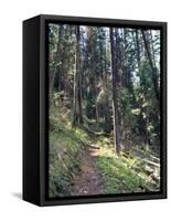 Lewis and Clark Trail over Lolo Pass, Bitterroot Mountains, Montana-null-Framed Stretched Canvas