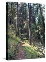 Lewis and Clark Trail over Lolo Pass, Bitterroot Mountains, Montana-null-Stretched Canvas