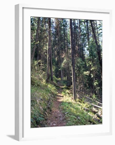 Lewis and Clark Trail over Lolo Pass, Bitterroot Mountains, Montana-null-Framed Photographic Print