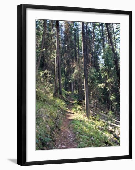 Lewis and Clark Trail over Lolo Pass, Bitterroot Mountains, Montana-null-Framed Photographic Print