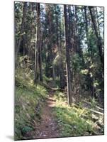 Lewis and Clark Trail over Lolo Pass, Bitterroot Mountains, Montana-null-Mounted Photographic Print