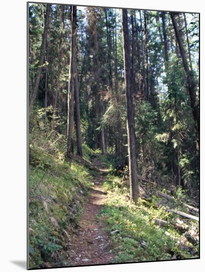 Lewis and Clark Trail over Lolo Pass, Bitterroot Mountains, Montana-null-Mounted Photographic Print