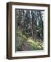 Lewis and Clark Trail over Lolo Pass, Bitterroot Mountains, Montana-null-Framed Photographic Print