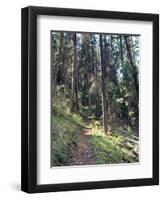 Lewis and Clark Trail over Lolo Pass, Bitterroot Mountains, Montana-null-Framed Photographic Print