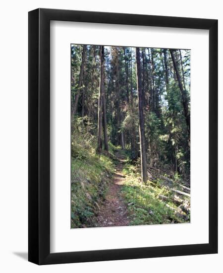 Lewis and Clark Trail over Lolo Pass, Bitterroot Mountains, Montana-null-Framed Photographic Print