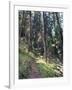 Lewis and Clark Trail over Lolo Pass, Bitterroot Mountains, Montana-null-Framed Photographic Print