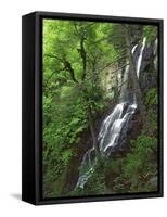 Lewis Falls, Shenandoah National Park, Virginia, USA-Charles Gurche-Framed Stretched Canvas