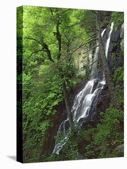 Lewis Falls, Shenandoah National Park, Virginia, USA-Charles Gurche-Stretched Canvas