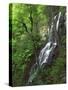 Lewis Falls, Shenandoah National Park, Virginia, USA-Charles Gurche-Stretched Canvas