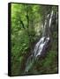 Lewis Falls, Shenandoah National Park, Virginia, USA-Charles Gurche-Framed Stretched Canvas