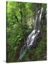 Lewis Falls, Shenandoah National Park, Virginia, USA-Charles Gurche-Stretched Canvas