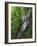 Lewis Falls, Shenandoah National Park, Virginia, USA-Charles Gurche-Framed Photographic Print