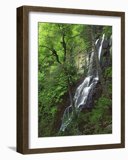 Lewis Falls, Shenandoah National Park, Virginia, USA-Charles Gurche-Framed Photographic Print