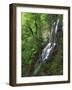 Lewis Falls, Shenandoah National Park, Virginia, USA-Charles Gurche-Framed Photographic Print