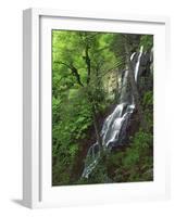 Lewis Falls, Shenandoah National Park, Virginia, USA-Charles Gurche-Framed Photographic Print