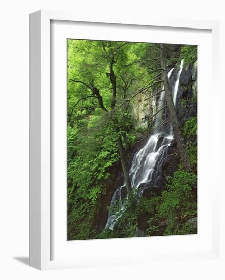 Lewis Falls, Shenandoah National Park, Virginia, USA-Charles Gurche-Framed Photographic Print