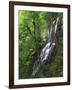 Lewis Falls, Shenandoah National Park, Virginia, USA-Charles Gurche-Framed Photographic Print