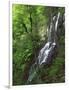 Lewis Falls, Shenandoah National Park, Virginia, USA-Charles Gurche-Framed Photographic Print