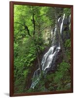 Lewis Falls, Shenandoah National Park, Virginia, USA-Charles Gurche-Framed Photographic Print