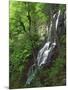 Lewis Falls, Shenandoah National Park, Virginia, USA-Charles Gurche-Mounted Photographic Print